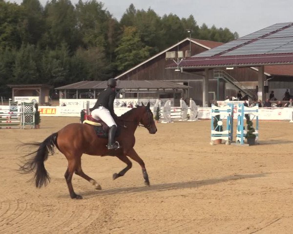 Reitturnier Ranshofen - Braunau am Inn 2023