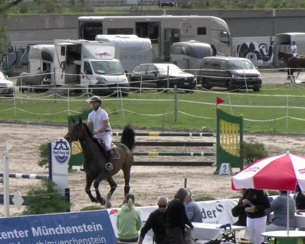 Reitturnier Basel/Schänzli 2023