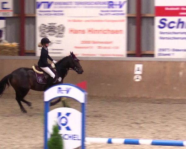 Reitturnier Behrendorf 2023