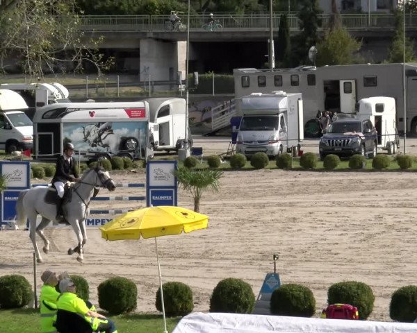 Reitturnier Basel/Schänzli 2023