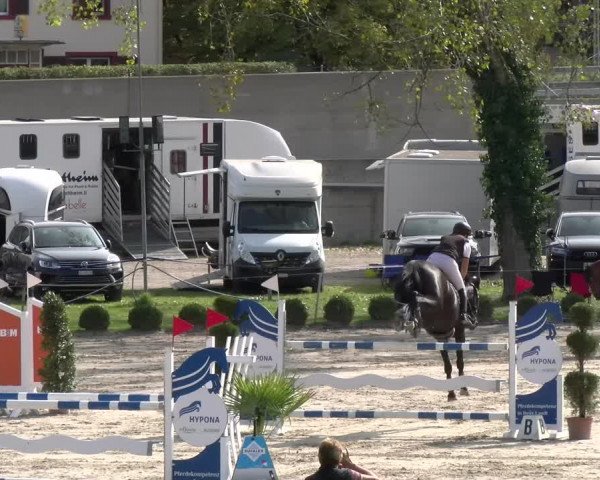Reitturnier Basel/Schänzli 2023