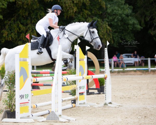 broodmare Gaelle van Herent (Belgian Warmblood, 2006, from Wandor van de Mispelaere D'10)