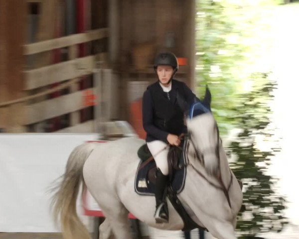 Reitturnier Böblingen 2023