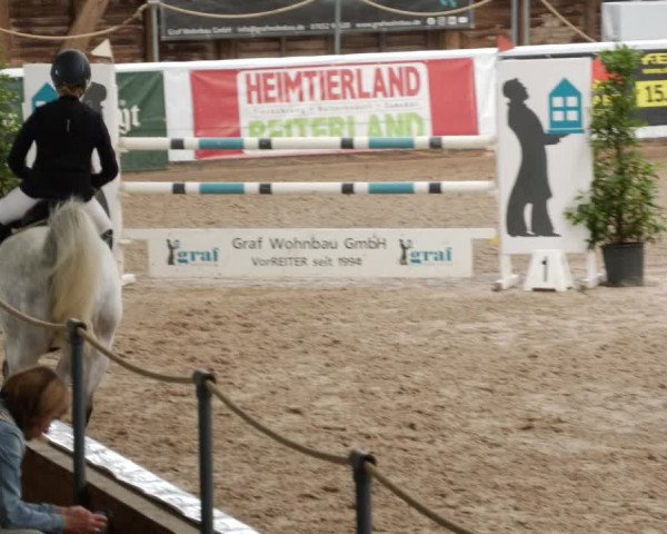 Reitturnier Böblingen 2023