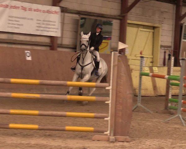 Reitturnier Elisenau 2023