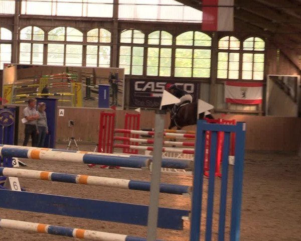 Reitturnier Elisenau 2023
