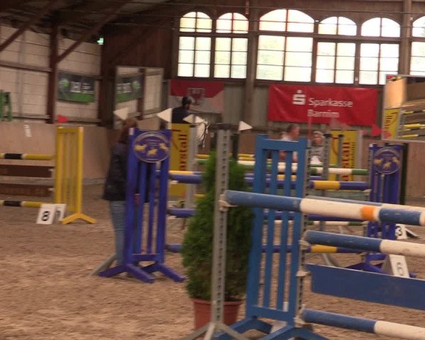 Reitturnier Elisenau 2023