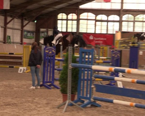 Reitturnier Elisenau 2023