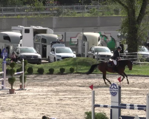 Reitturnier Basel/Schänzli 2023