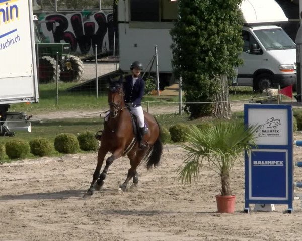 Reitturnier Basel/Schänzli 2023