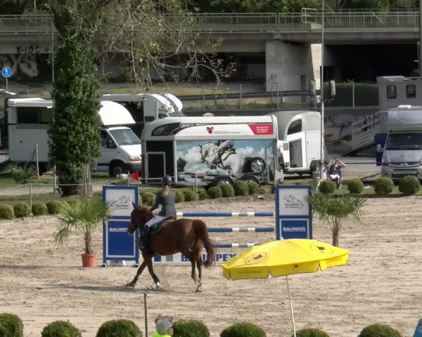 Reitturnier Basel/Schänzli 2023