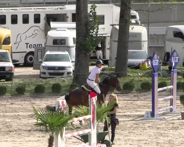 Reitturnier Basel/Schänzli 2023