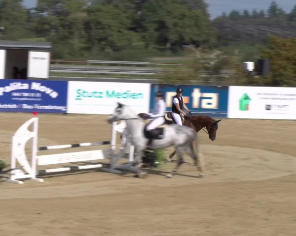 Reitturnier Wädenswil 2023