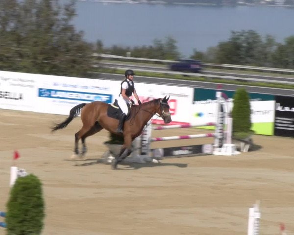 Reitturnier Wädenswil 2023
