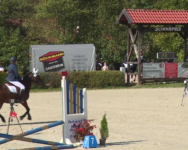 Reitturnier Frankenhof-Sonnefeld/Ofr. 2023