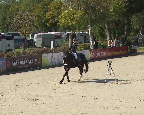 Reitturnier Frankenhof-Sonnefeld/Ofr. 2023