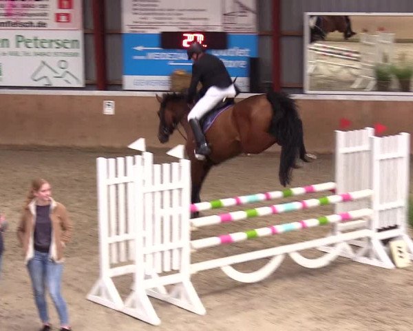 Reitturnier Behrendorf 2023