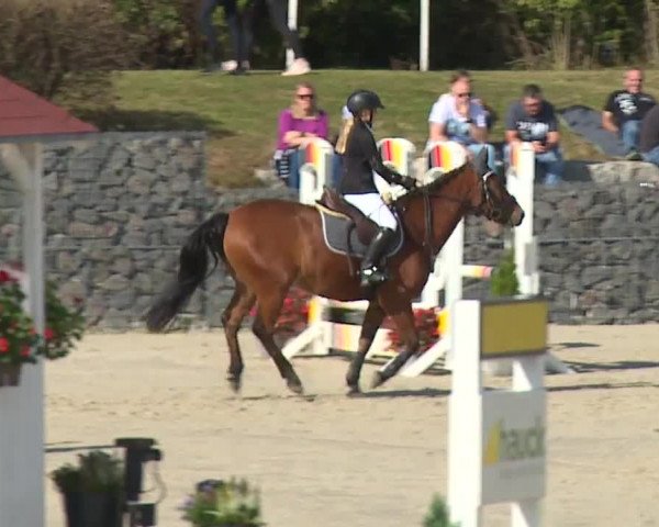 Reitturnier Frankenhof-Sonnefeld/Ofr. 2023