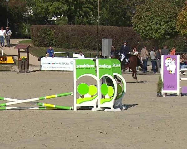 Reitturnier Frankenhof-Sonnefeld/Ofr. 2023
