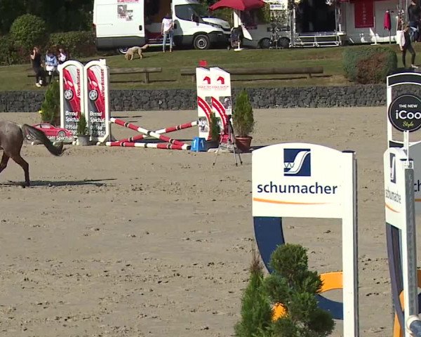 Reitturnier Frankenhof-Sonnefeld/Ofr. 2023
