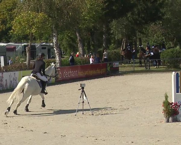 Reitturnier Frankenhof-Sonnefeld/Ofr. 2023