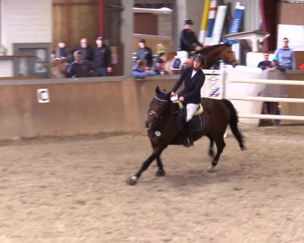Reitturnier Behrendorf 2023