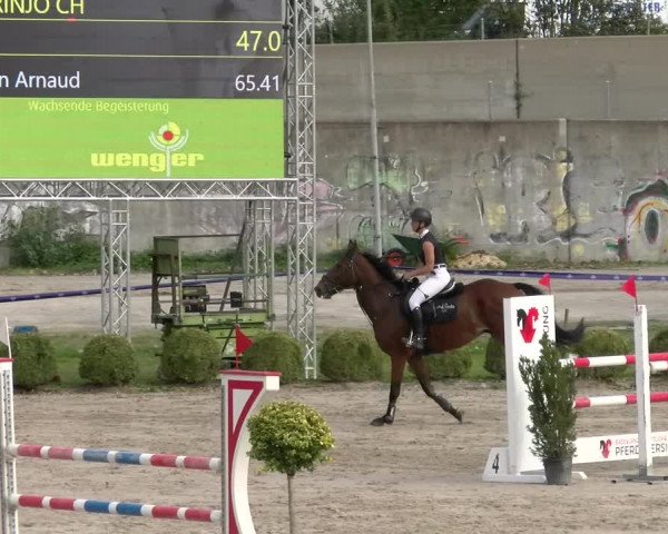Reitturnier Basel/Schänzli 2023