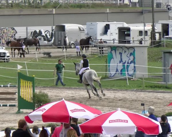 Reitturnier Basel/Schänzli 2023