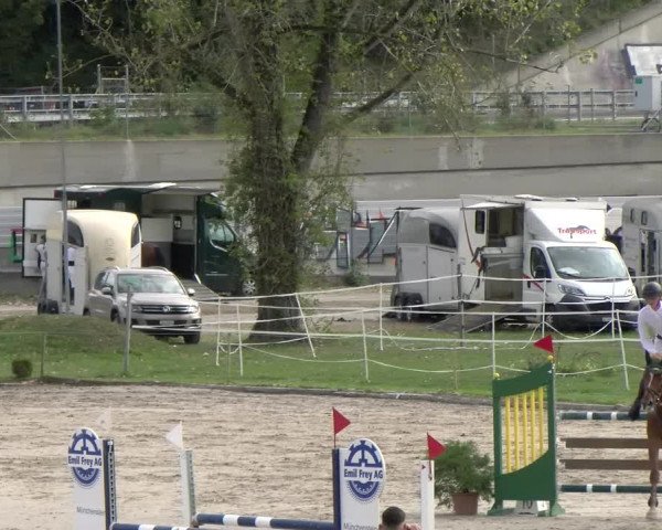 Reitturnier Basel/Schänzli 2023