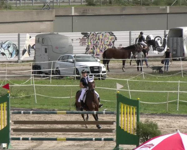 Reitturnier Basel/Schänzli 2023
