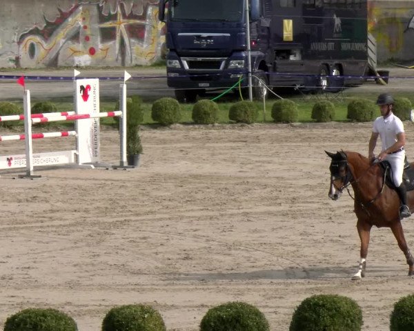 Reitturnier Basel/Schänzli 2023