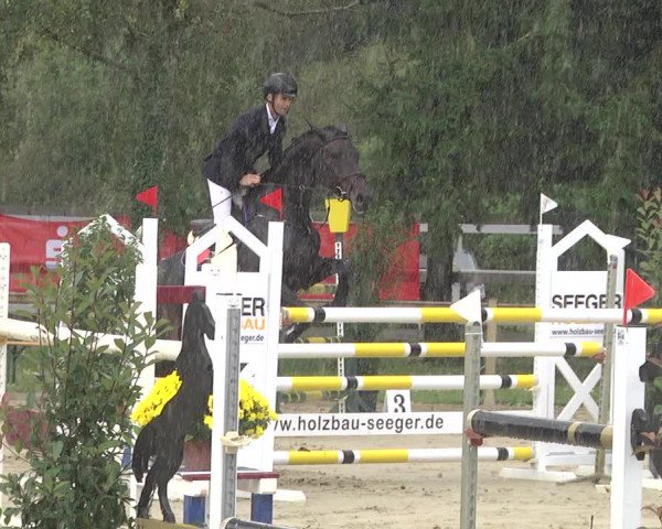 Springturnier Walldorf/Winterheck 2021