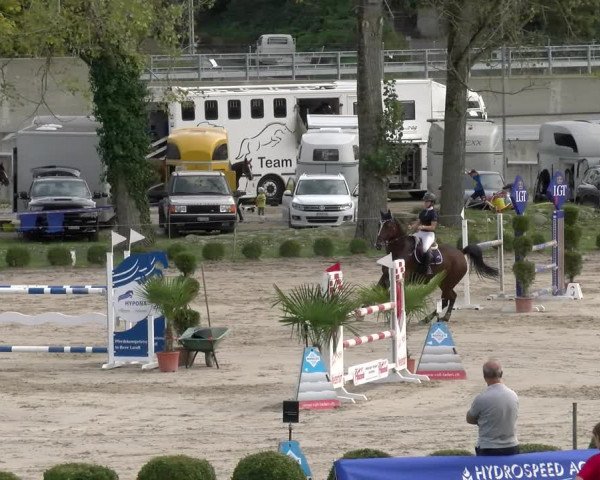 Reitturnier Basel/Schänzli 2023