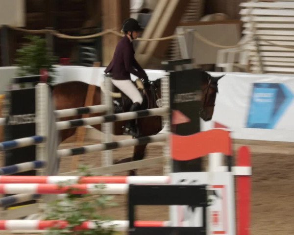 Reitturnier Böblingen 2023