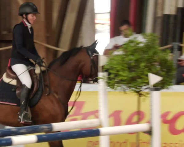 Reitturnier Böblingen 2023