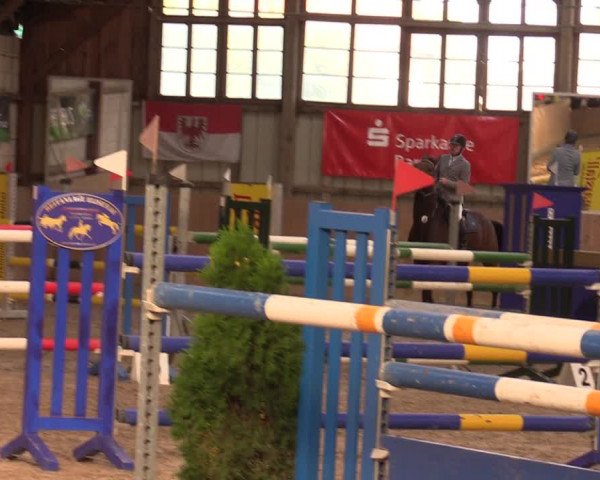 Reitturnier Elisenau 2023