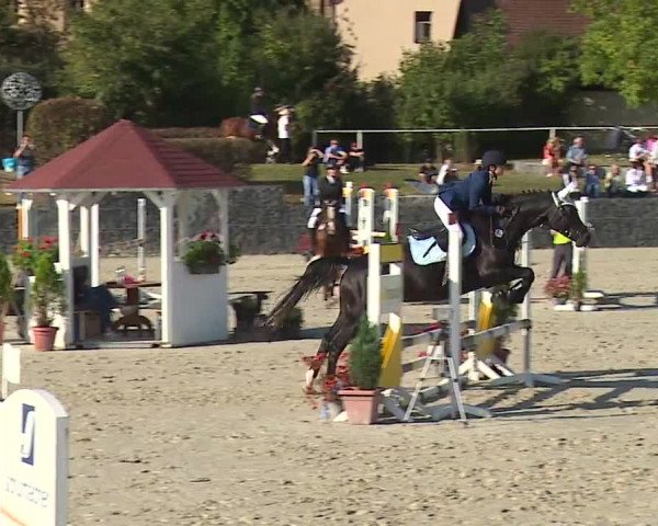 Reitturnier Frankenhof-Sonnefeld/Ofr. 2023