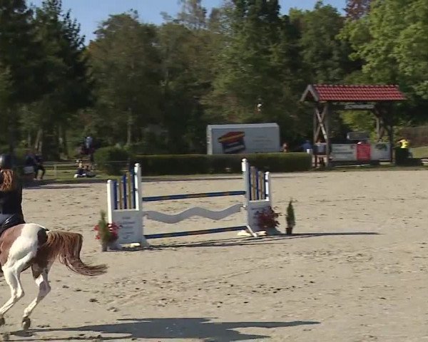 Reitturnier Frankenhof-Sonnefeld/Ofr. 2023
