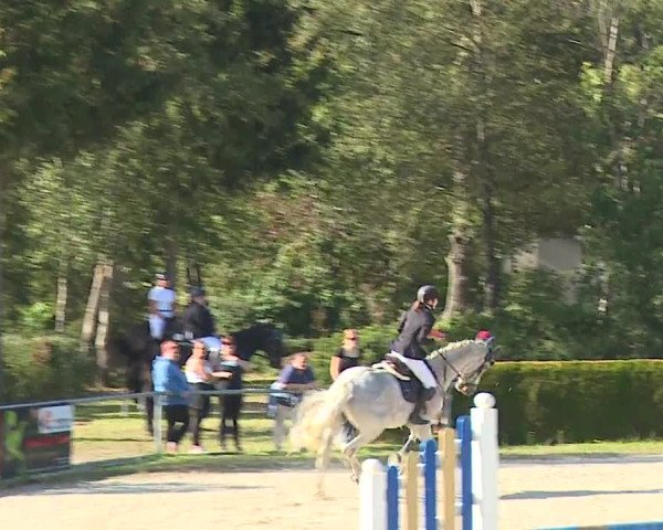 Reitturnier Frankenhof-Sonnefeld/Ofr. 2023