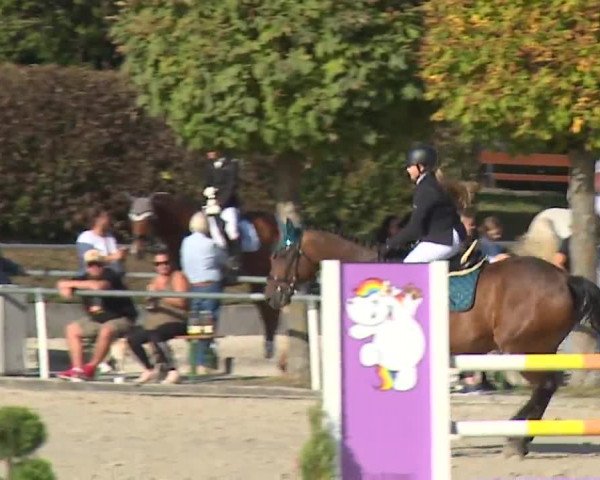 Reitturnier Frankenhof-Sonnefeld/Ofr. 2023
