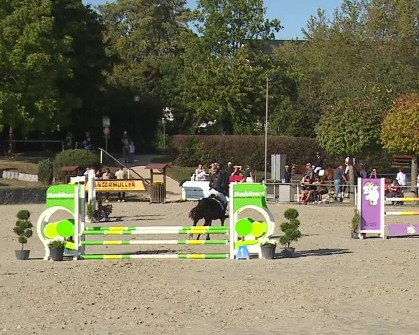 Reitturnier Frankenhof-Sonnefeld/Ofr. 2023