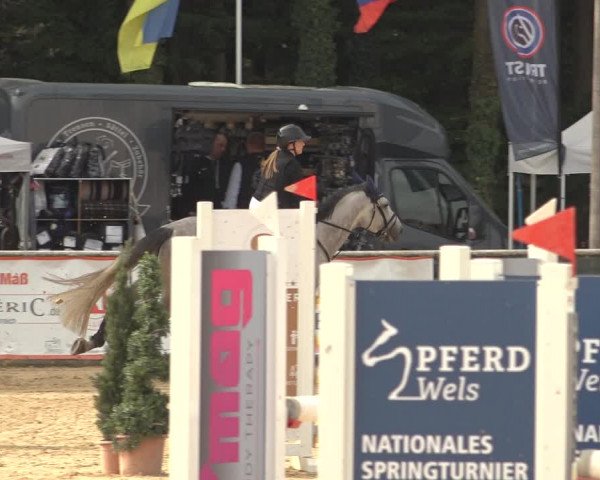 Reitturnier Ranshofen - Braunau am Inn 2023