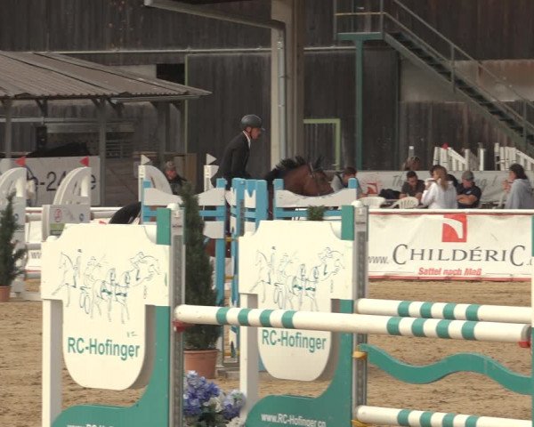 Reitturnier Ranshofen - Braunau am Inn 2023