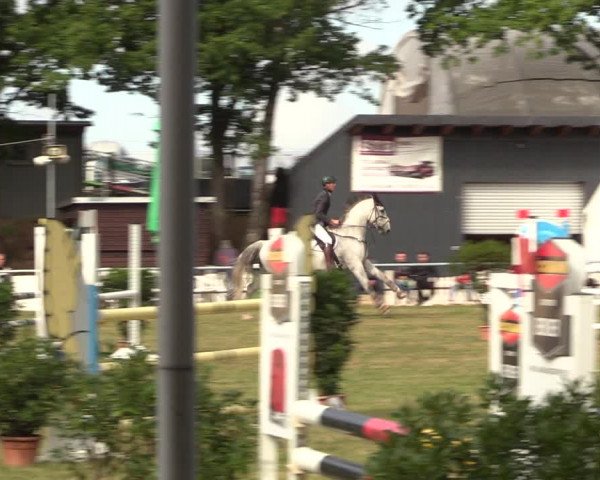 Reitturnier Röhrsdorf/ Chemnitz 2023