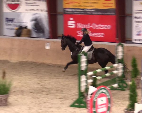 Reitturnier Behrendorf 2023