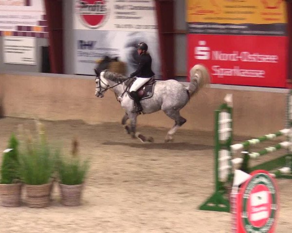 Reitturnier Behrendorf 2023