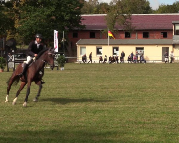 Reitturnier Röhrsdorf/ Chemnitz 2023