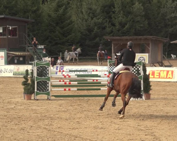 Reitturnier Ranshofen - Braunau am Inn 2023