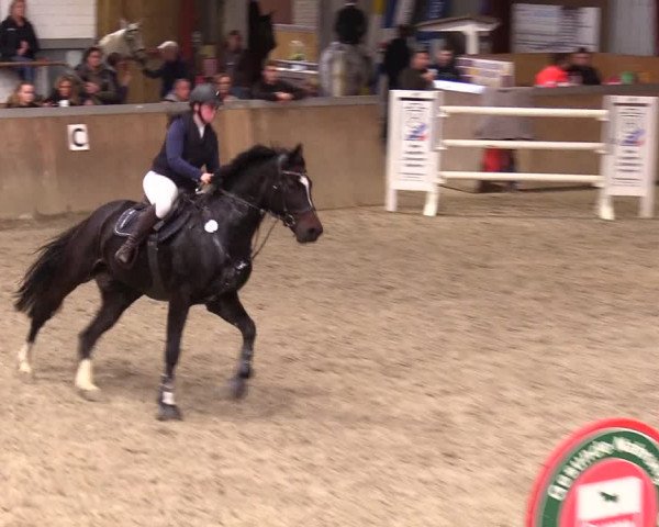 Reitturnier Behrendorf 2023