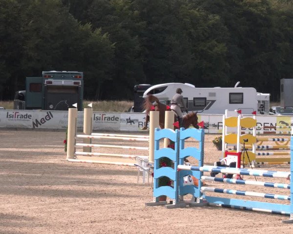 Reitturnier Ranshofen - Braunau am Inn 2023